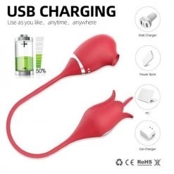 Mysite Rose Vibrators 2in1 Rose Vibrator