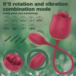 Mysite Rose Vibrators 2 In 1 Rose Toy With Bullet Vibrator
