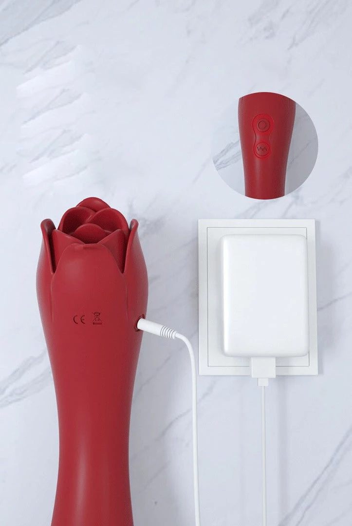 Mysite Rose Vibrators Rose Toy 10 Modes (red) 3 Mysite Rose Vibrators Rose Toy 10 Modes (red)