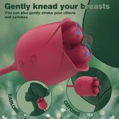 Mysite Rose Vibrators 2 In 1 Rose Toy With Bullet Vibrator