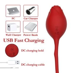 Mysite Rose Egg Jumping Vibrator Rose Vibrators