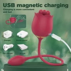 Mysite Rose Vibrators 2 In 1 Rose Toy With Bullet Vibrator