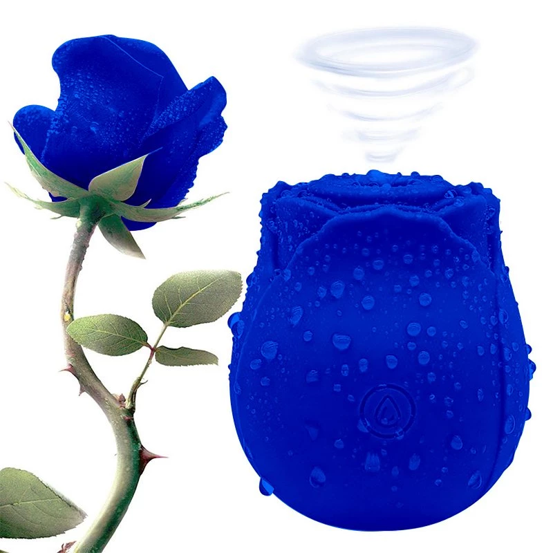 Mysite Rose Vibrators Wholesale Blue Rose Vibrator For Women 2 Mysite Rose Vibrators Wholesale Blue Rose Vibrator For Women