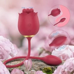 Mysite Rose Vibrators 2 In 1 Rose Toy With Bullet Vibrator