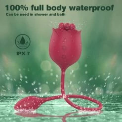 Mysite Rose Vibrators 2 In 1 Rose Toy With Bullet Vibrator