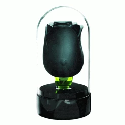 Mysite Rends Rose Toy Rose Vibrators