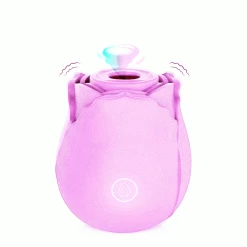 Mysite Rose Vibrators TikTok Rose Toy In Pink
