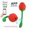 Mysite Rose Wireless Remote Control App Vibrating Egg Rose Vibrators