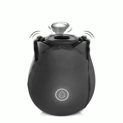 Mysite TikTok Rose Toy In Black Rose Vibrators