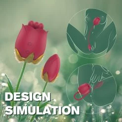 Mysite Rose Vibrators 2 In 1 Rose Toy With Bullet Vibrator