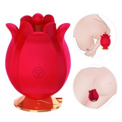 Mysite Rose Shape Vagina Vibrator For Women Clitoris Stimulation Rose Vibrators 17 Mysite Rose Shape Vagina Vibrator For Women Clitoris Stimulation Rose Vibrators
