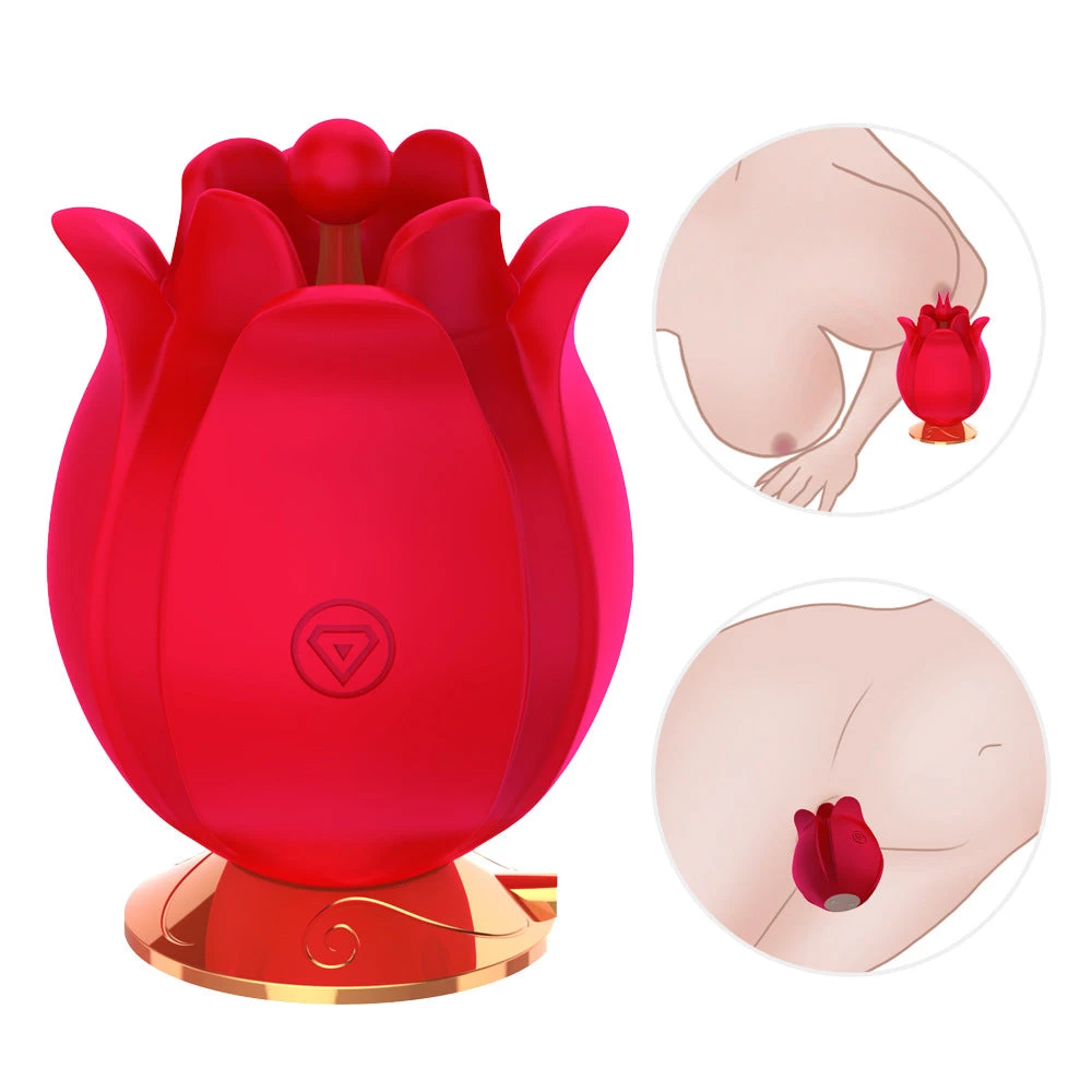 Mysite Rose Shape Vagina Vibrator For Women Clitoris Stimulation Rose Vibrators 9 Mysite Rose Shape Vagina Vibrator For Women Clitoris Stimulation Rose Vibrators