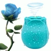 Mysite Rose Sex Toy Waterproof Sucking Light Blue Vibrator For Women