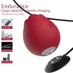 Mysite Dora Rose Vibrator Toy Rose Vibrators