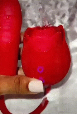 Mysite Best Sellers The Rose Toy With Bullet Vibrator