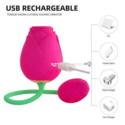 Mysite Flexable Rose Toy Egg G Spot Stimulator Rose Vibrators 4 Mysite Flexable Rose Toy Egg G Spot Stimulator Rose Vibrators