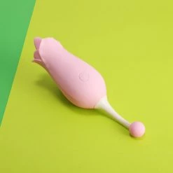 Mysite The Rose Toy Boutique Bundle